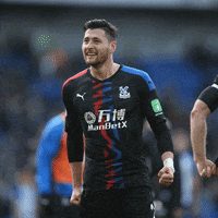 Premier League Sport GIF by CPFC