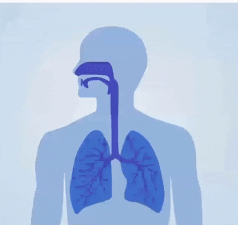 sawyer94a giphygifmaker GIF