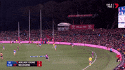 round 19 afl GIF by Adelaide Crows