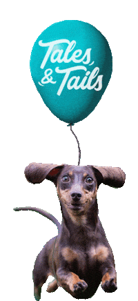 dog balloon Sticker by Tales&Tails