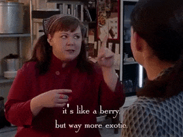 season 1 netflix GIF by Gilmore Girls 