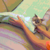Cuteness GIF
