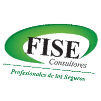 FISEConsultores seguros asesor asesores consultores Sticker