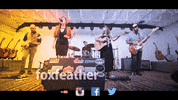 Fox Folk GIF by White Wall Sessions