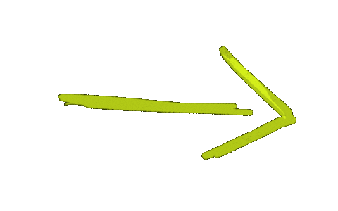 Line Seta Sticker by MonaDesenhando