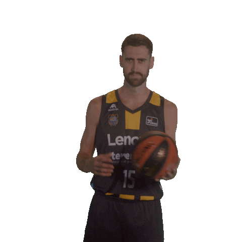 Liga Endesa Basket Sticker by ACB