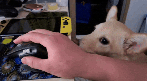 Animated GIF