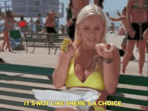 VicVik giphygifmaker giphyattribution GIF