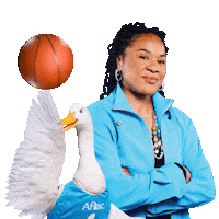 March Madness Basketball Sticker by Aflac Duck