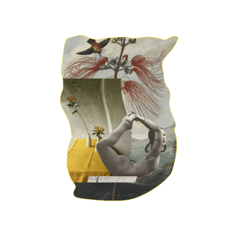 MaSoeurEtMoi giphygifmaker fairy dreamy bucketlist Sticker