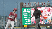 Lets Go Baseball GIF by Arkansas Razorbacks