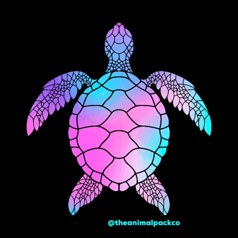 theanimalpack ocean turtle marine shell GIF