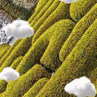 British Countryside Bird GIF by TeaCosyFolk