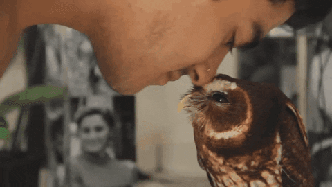 GIF by Giffffr