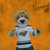 excited minnesota wild GIF by Nordy Wild