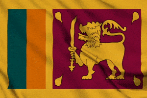 Sri Lanka Colombo GIF