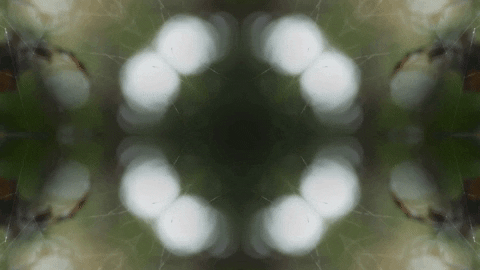 Art Love GIF by jorgemariozuleta