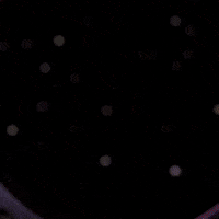 Dancing Bear Eye Roll GIF by Mark Tore