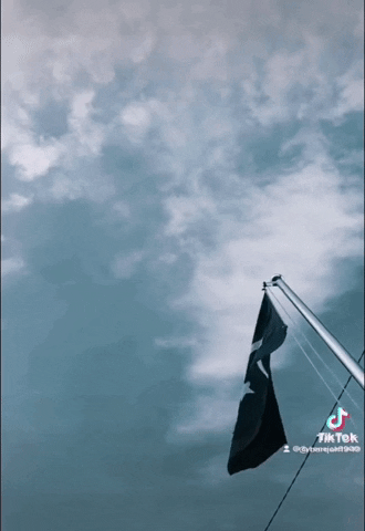 Faragalnemr GIF