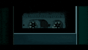 Recording Video Game GIF