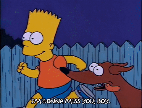 Season 2 GIF by The Simpsons