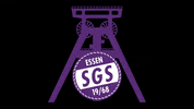 GIF by SGS-Essen