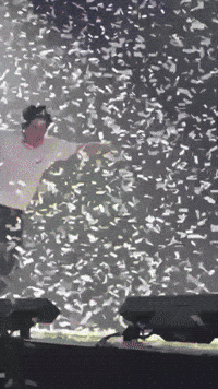 Happy Jin Bts GIF