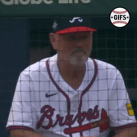 gifs_baseball giphyupload GIF