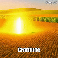 Wisdom Gratitude GIF by Bloomscroll