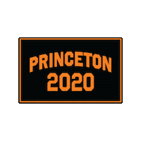 Commencement Class Of 2020 Sticker by Princeton University
