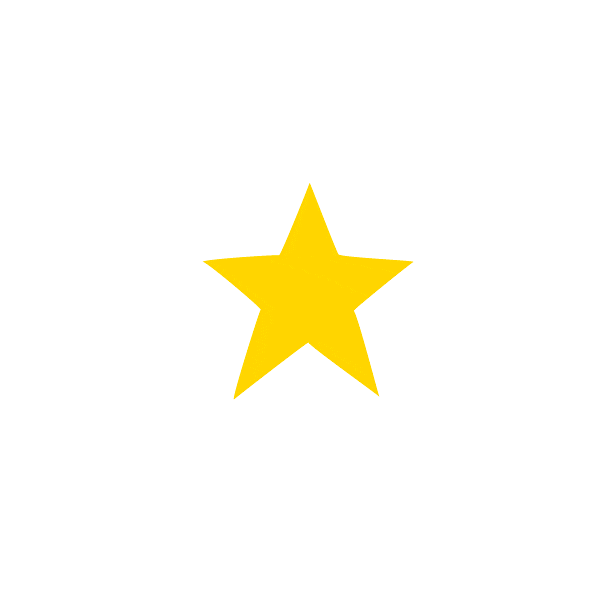 Christmas Star Sticker by Istituto Artigianelli
