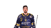 Zellamsee Ekz Sticker by EK Zeller Eisbären