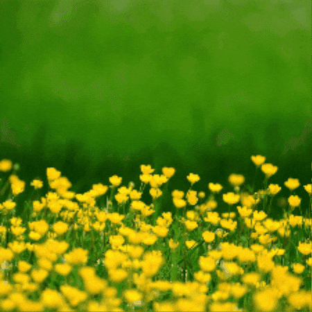 Easter Bunny GIF by TeaCosyFolk