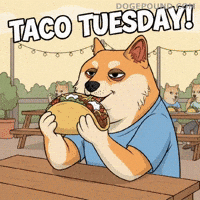 Happy Shiba Inu GIF by Doge Pound