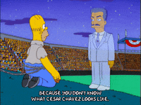 homer simpson GIF