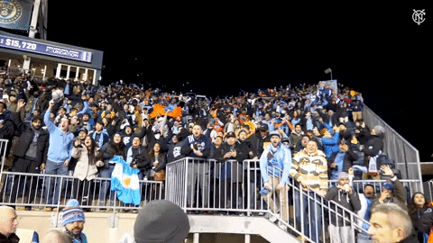 Happy Major League Soccer GIF by NYCFC
