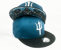 Capichecaps blue white black greek GIF