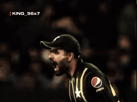 king_56 babar babarazam zalmi king56x7 GIF