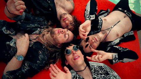 primadonna like me GIF by thestruts