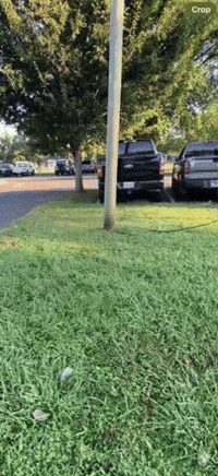 Jmoney GIF