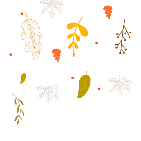 Its Fall GIF by LePainQuotidien