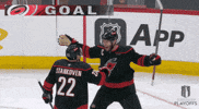 Happy Stanley Cup Playoffs GIF by NHL