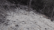 Straw Grass Seed GIF by JC Property Professionals