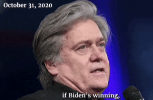Steve Bannon GIF by GIPHY News