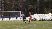 College Sports Rugby GIF by Norwich University