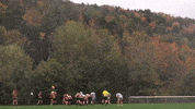 College Sports Rugby GIF by Norwich University