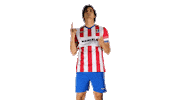 Svp9 Sticker by De Kaascoman