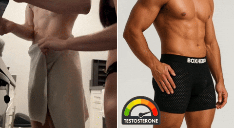 matteopellegrini24 giphyupload GIF