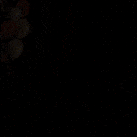 Feliz Cumpleaños GIF by Zhot