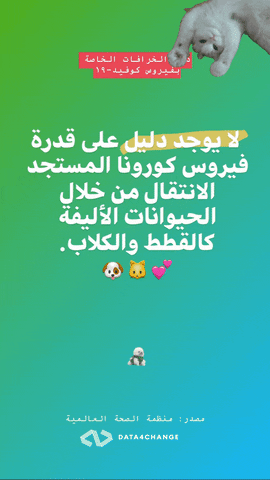 News Lebanon GIF by Data4Change